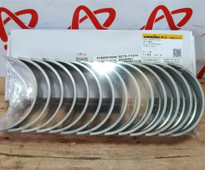 Bạc lót trục khuỷu (Miễng cốt) WD10