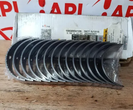 Bộ miễng cốt, miễng dên động cơ WP6