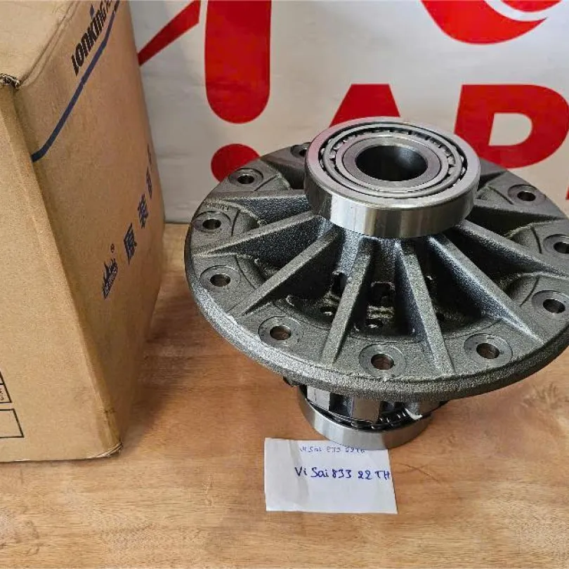 Cụm vi sai Lonking 833