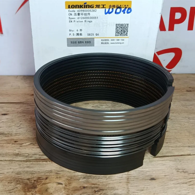 Xéc măng bộ hơi WD10