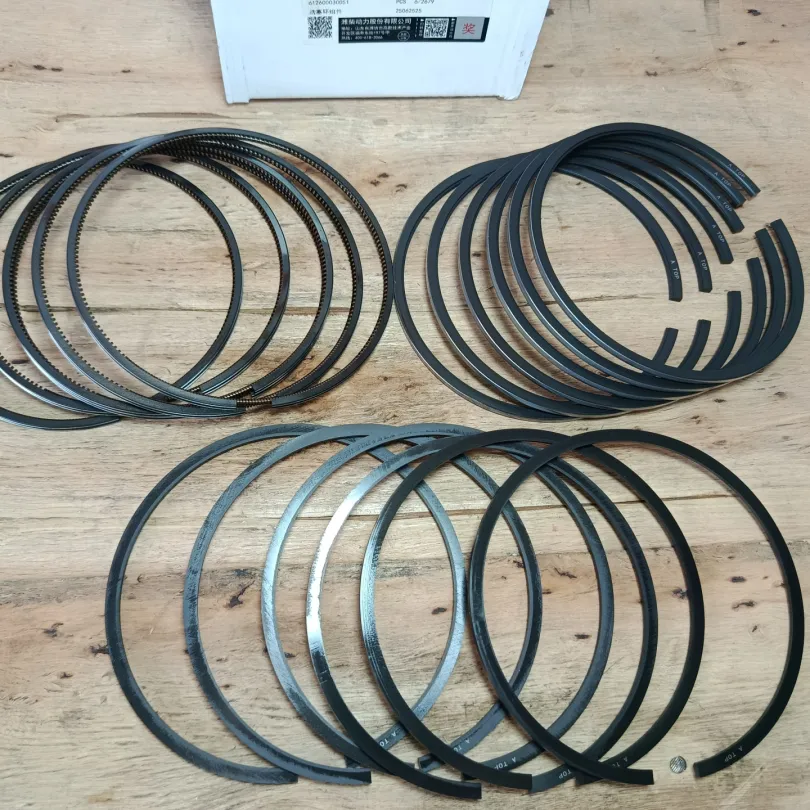 Xéc măng bộ hơi WP6