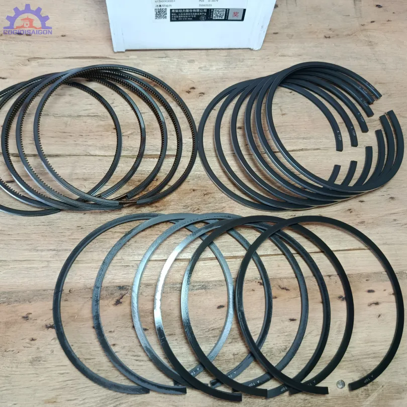 Bộ hơi động cơ WD10 chính hãng