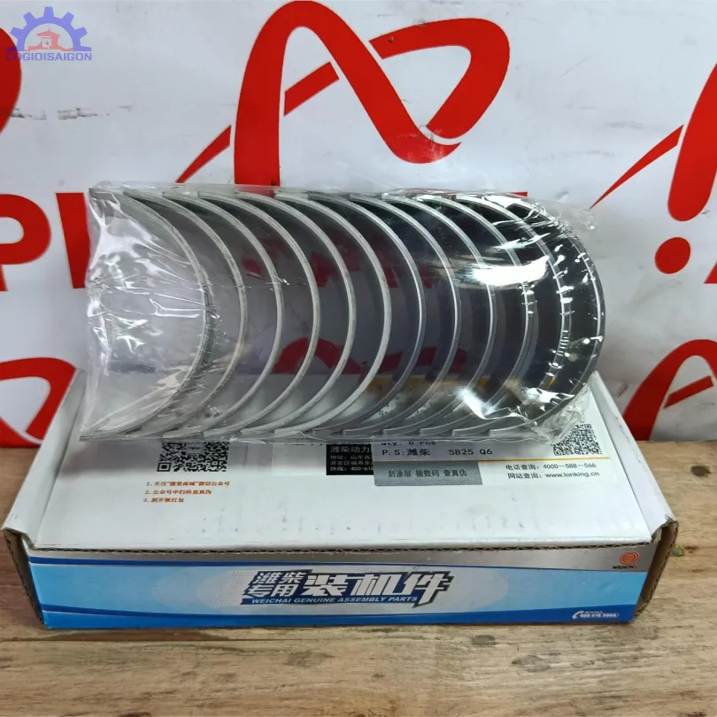 Bộ miễng cốt, miễng dên động cơ WP6