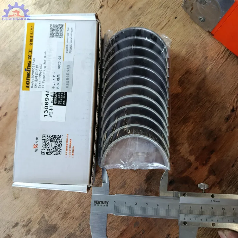 Bộ miễng cốt, miễng dên động cơ WP6