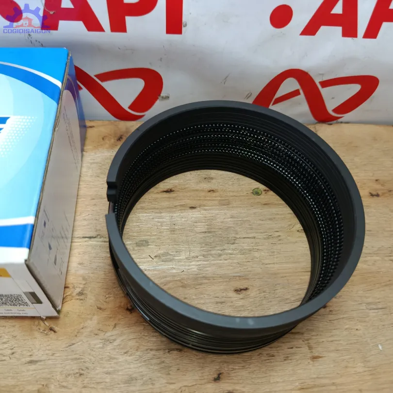 Xéc măng bộ hơi WP6